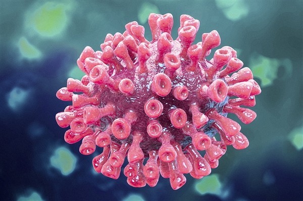 张文宏医生谈新冠病毒疫苗:这个世界回不到过去的样子了